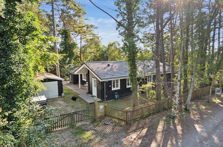 Guest house 0171403 - Holiday property Seeland - Vakantiehuis "Anar" - 900m from the sea