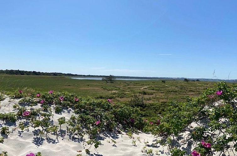 Vakantiehuis "Tinja" - 900m from the sea