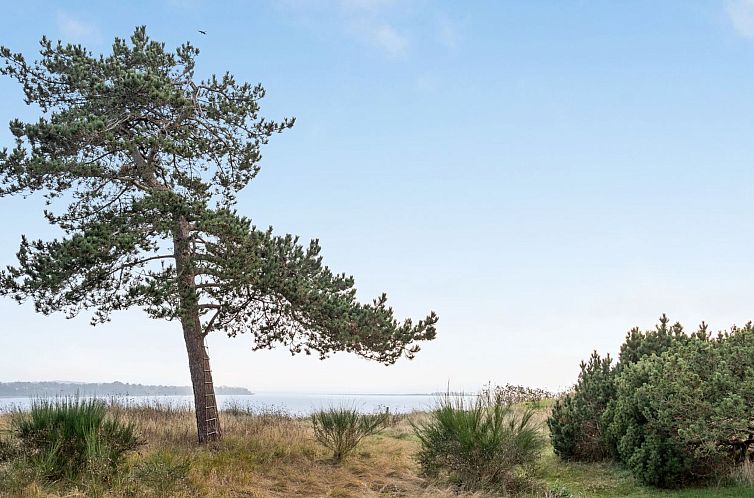 Vakantiehuis "Bosilka" - 75m from the sea