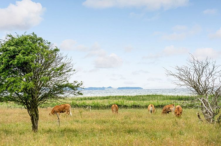 Vakantiehuis "Bernadete" - 50m to the fjord