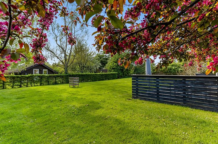 Vakantiehuis "Prohor" - 150m from the sea