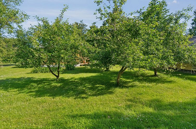 Vakantiehuis "Holmer" - 2.5km from the sea