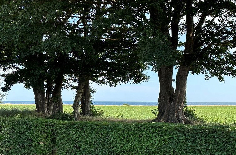 Vakantiehuis "Francis" - 300m from the sea