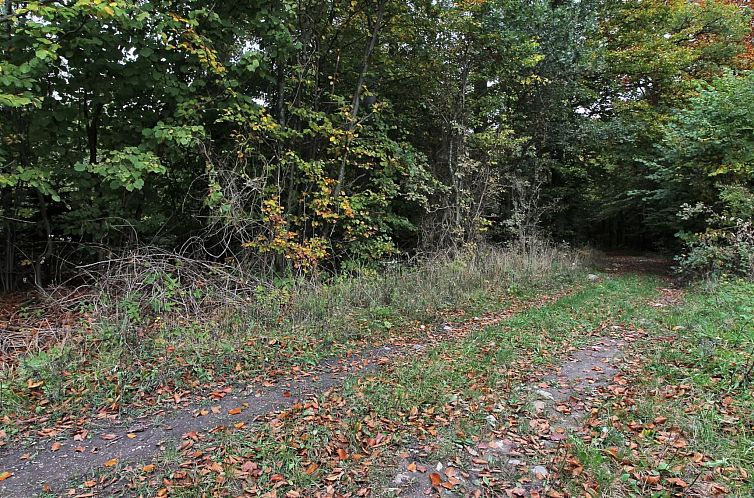 Vakantiehuis "Vojo" - 100m from the sea