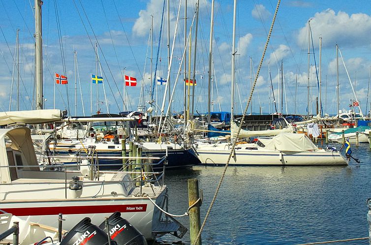 Vakantiehuis "Cedomir" - 625m from the sea