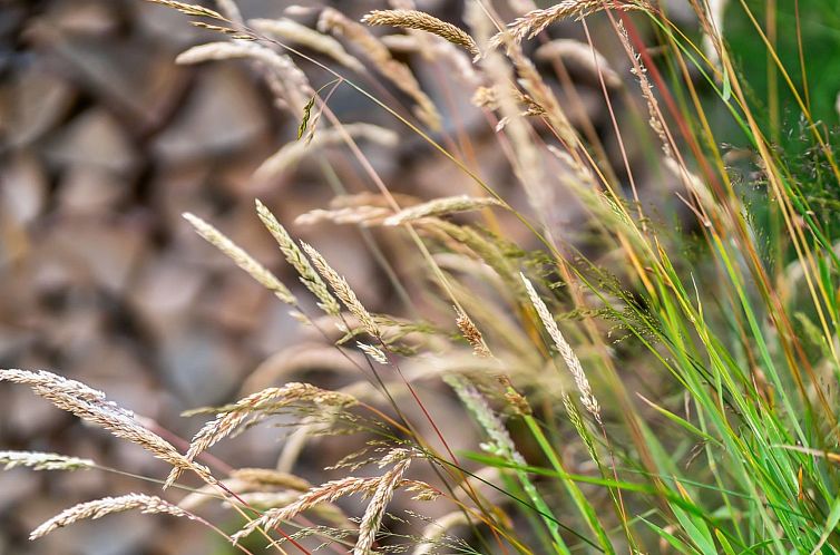 Vakantiehuis "Karlene" - 300m from the sea