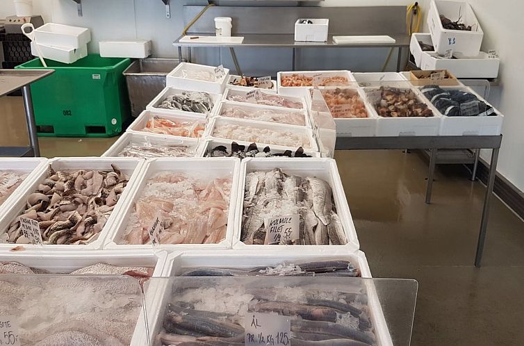 Vakantiehuis "Golubinka" - 500m from the sea