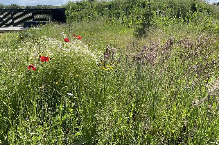 Vakantiehuis "Anelle" - 500m from the sea