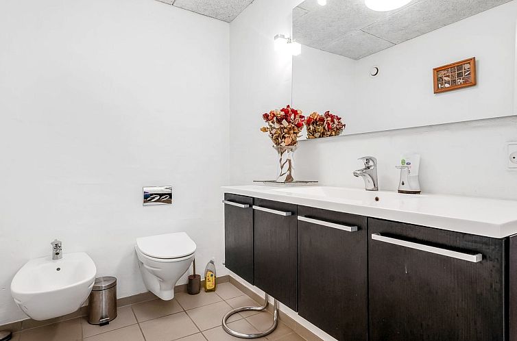 Vakantiehuis "Jonce" - 800m from the sea