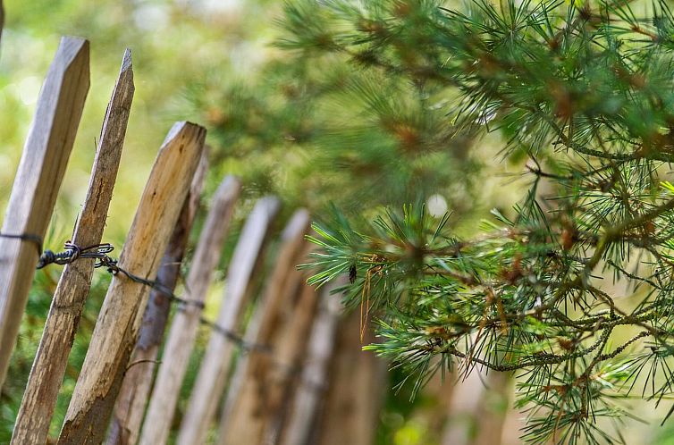 Vakantiehuis "Etel" - 600m from the sea