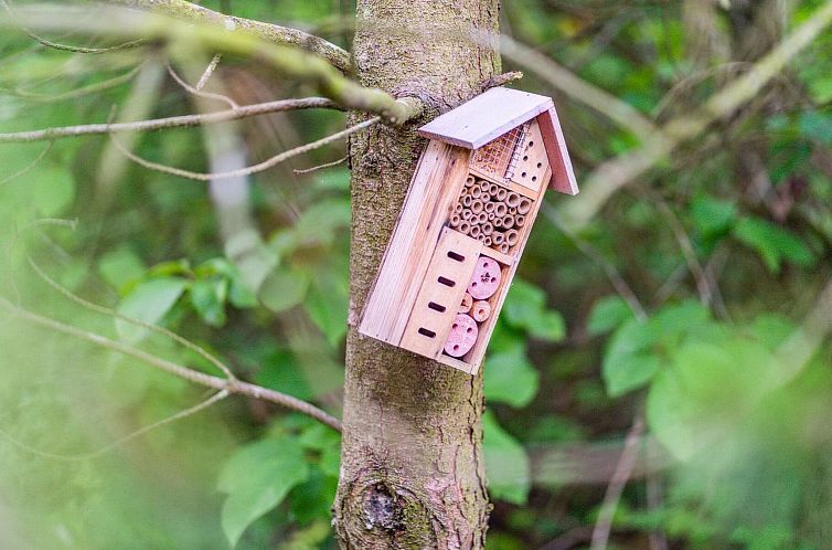 Vakantiehuis "Etel" - 600m from the sea