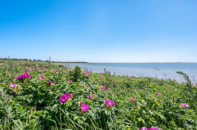 Vakantiehuis "Tatianna" - 100m from the sea