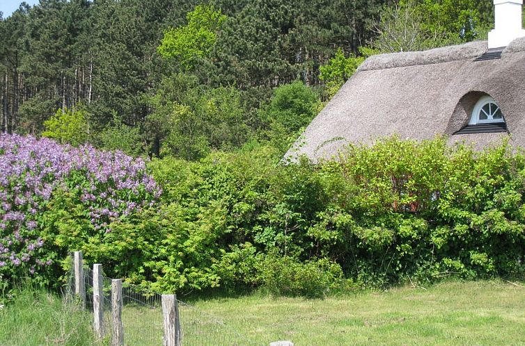 Vakantiehuis "Eva" - 1.5km to the fjord