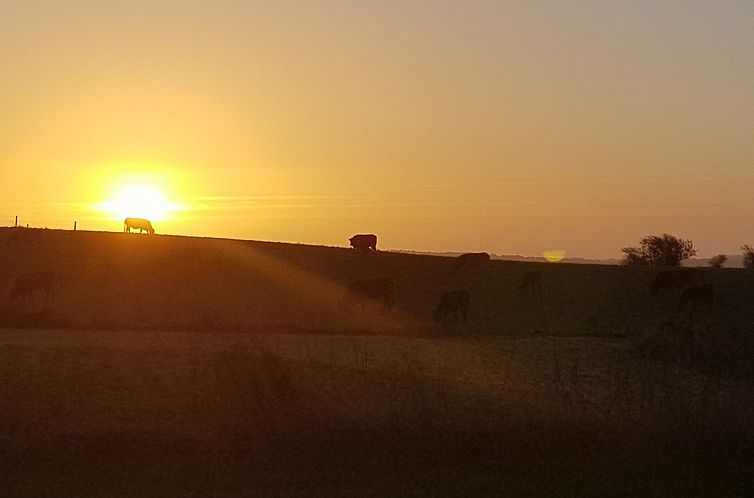 Vakantiehuis "Siebelt" - 200m from the sea