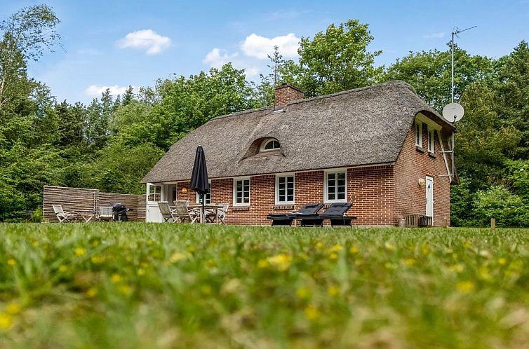 Verblijf 0181732 - Vakantiewoning Midden Jutland - Vakantiehuis "Alkil" - 1.7km from the sea