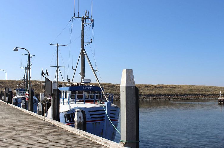 Vakantiehuis "Raisa" - 200m to the fjord