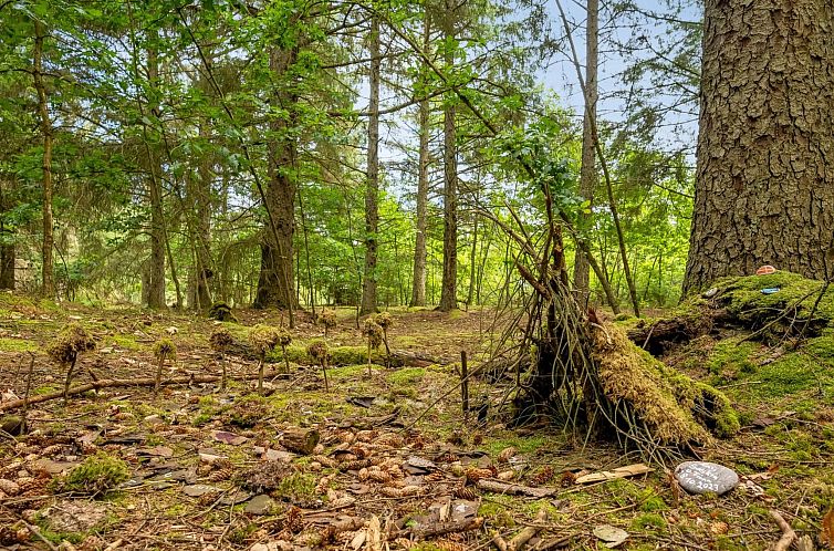 Vakantiehuis "Ernesta" -  from the sea