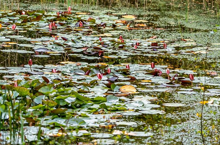 Vakantiehuis "Vicente" - 14km to the fjord