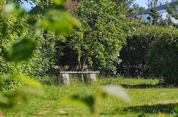 Appartement "Bartha" - 3km from the sea