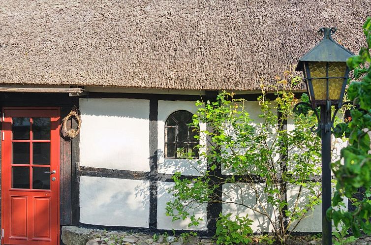 Vakantiehuis "Alfhild" - 3km from the sea