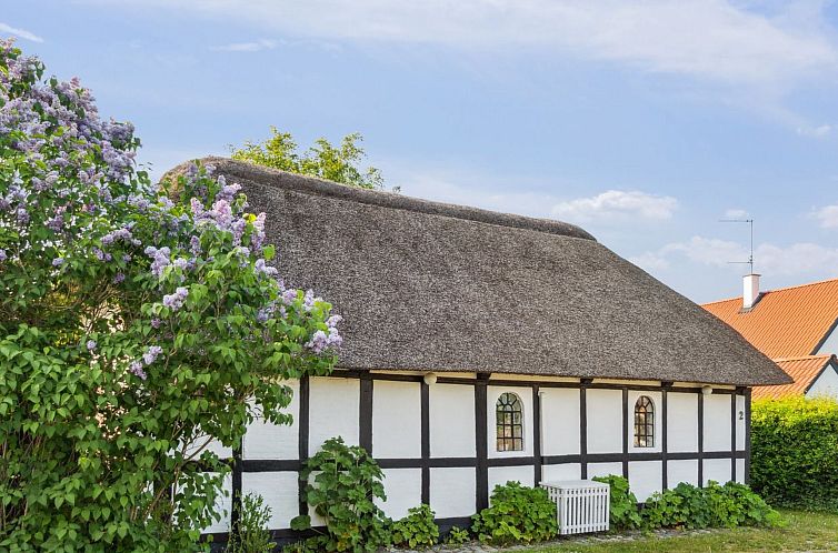 Vakantiehuis "Alfhild" - 3km from the sea