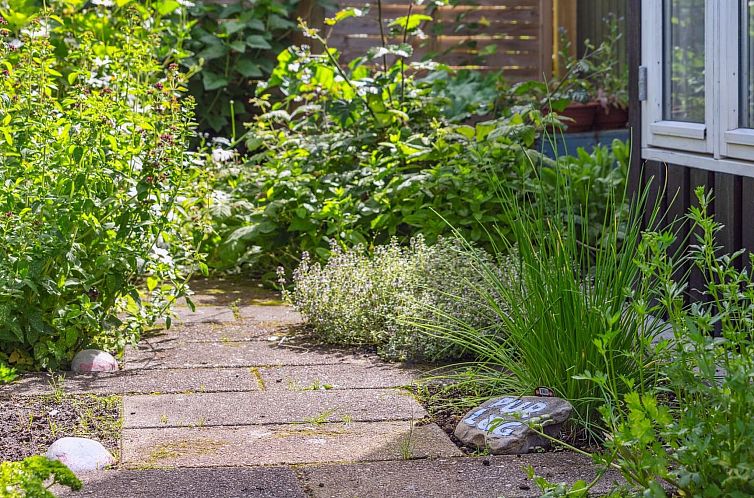 Vakantiehuis "Antonie" - 700m from the sea