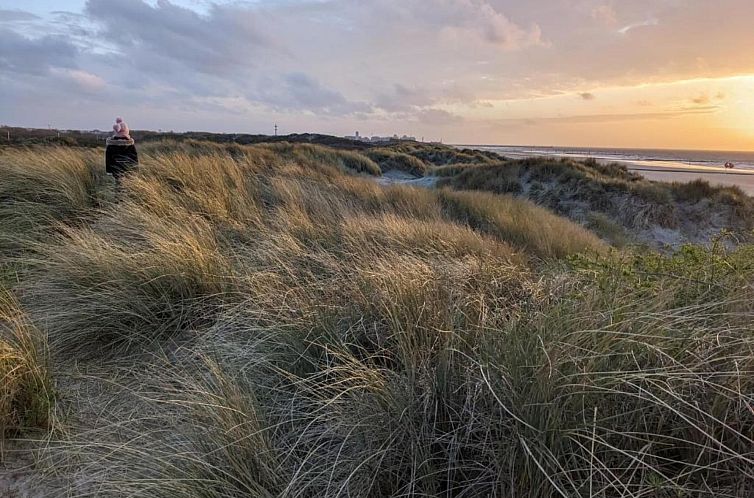 SENATOR 0702