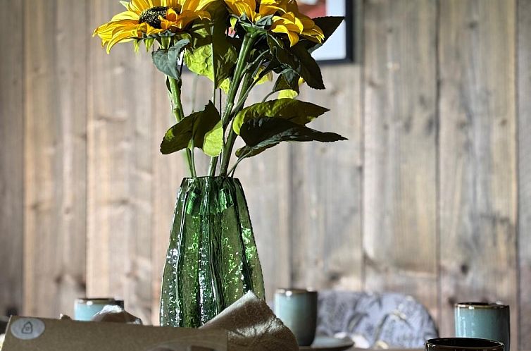 Glamfield Lodge II met hottub