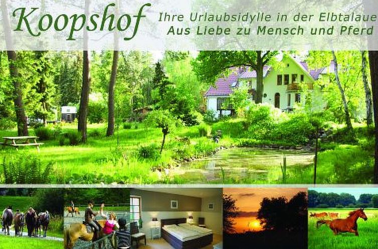 Appartement Große Ferienwohnung in Bleckede mit Großem Bal