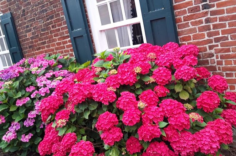 Vakantiehuisje in Krummhörn