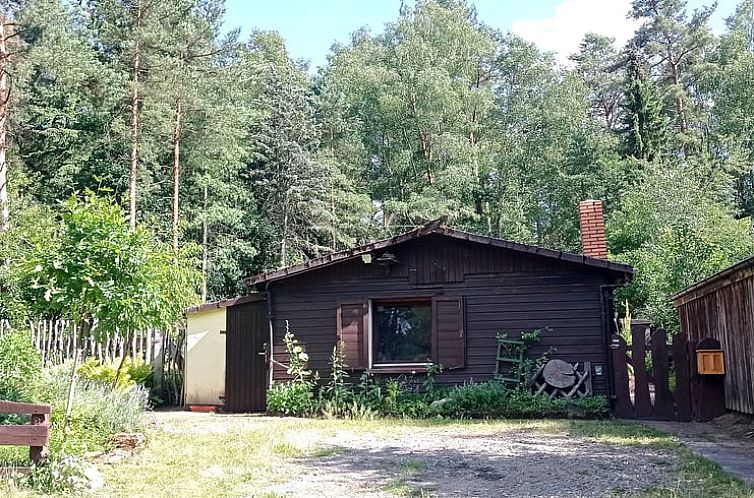 Geniessen Sie die ruhige Umgebung des Ferienhauses in Steinhorst, das in den Waeldern Niedersachsens, Deutschland, liegt.