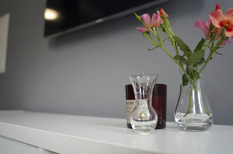 Appartement Wohnung in Hameln mit Garten