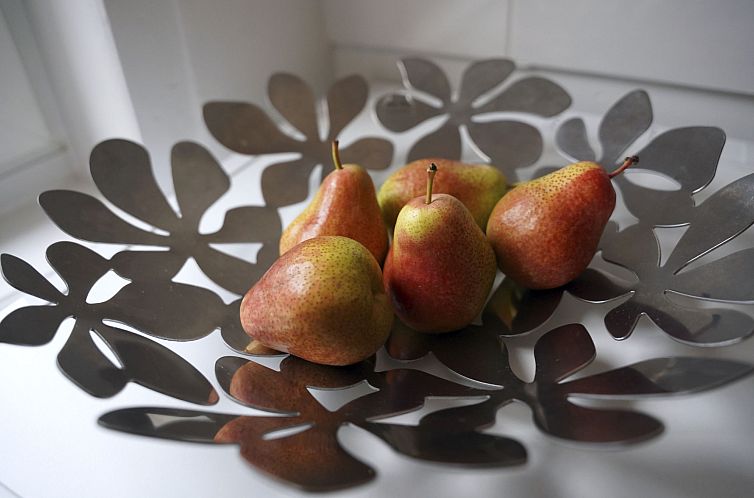 Appartement Wohnung in Hameln mit Garten