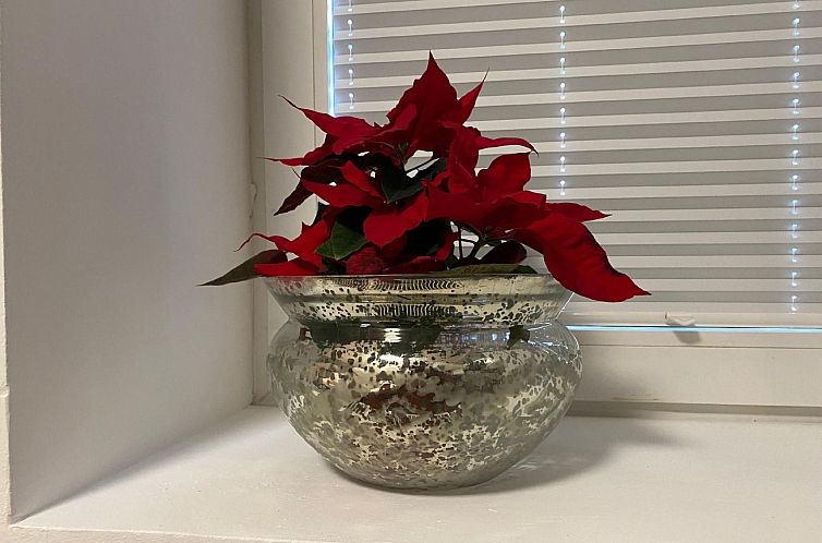 Appartement in Hameln mit Garten