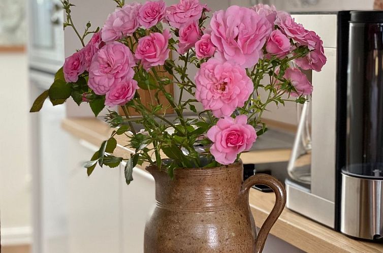 Appartement Gemütliche Wohnung in Hameln mit Garten