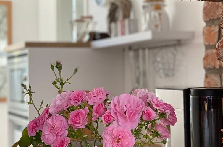 Appartement Gemütliche Wohnung in Hameln mit Garten