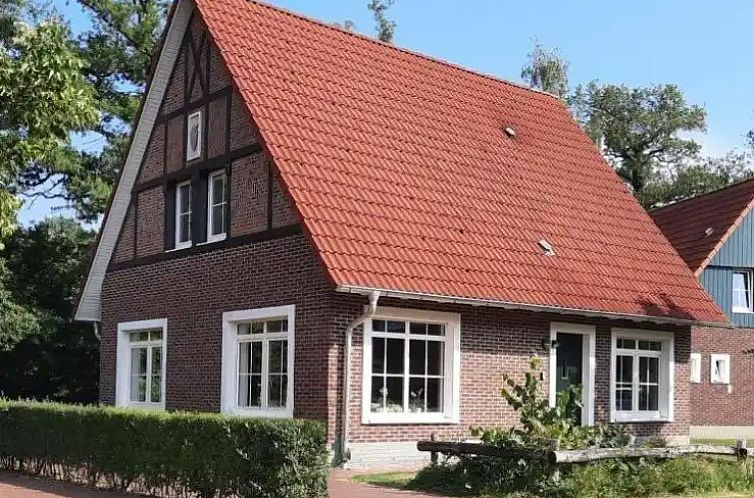 Guest house 0193608 - Holiday property Niedersachsen - Villa Fedora (met prive sauna)
