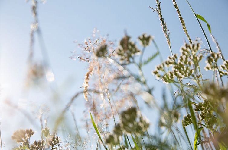 Vakantiehuisje in Vrees