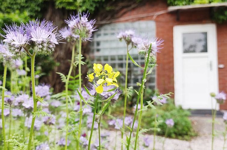 Blumen im Ferienhaus in Detern, idyllisch gelegen in Niedersachsen.