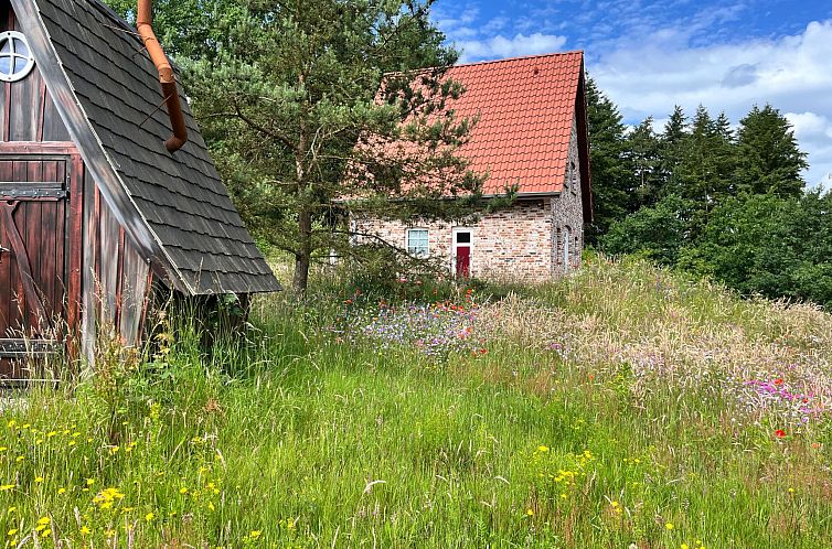 Vakantiehuis Haus Felsenbirne im Bispinger Heidezauber