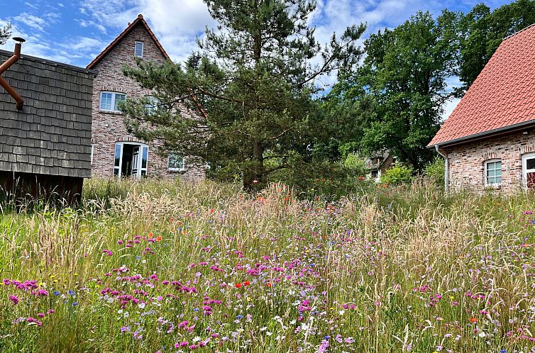 Vakantiehuis Heidezauber