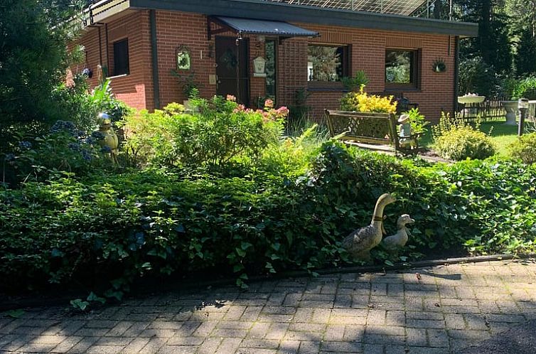 Geniessen Sie die ruhige Umgebung des Ferienhauses in Uelsen, Niedersachsen, ein idyllisches Ferienhaus im Gruenen.