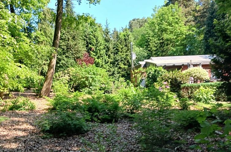 Vakantiehuisje in Uelsen