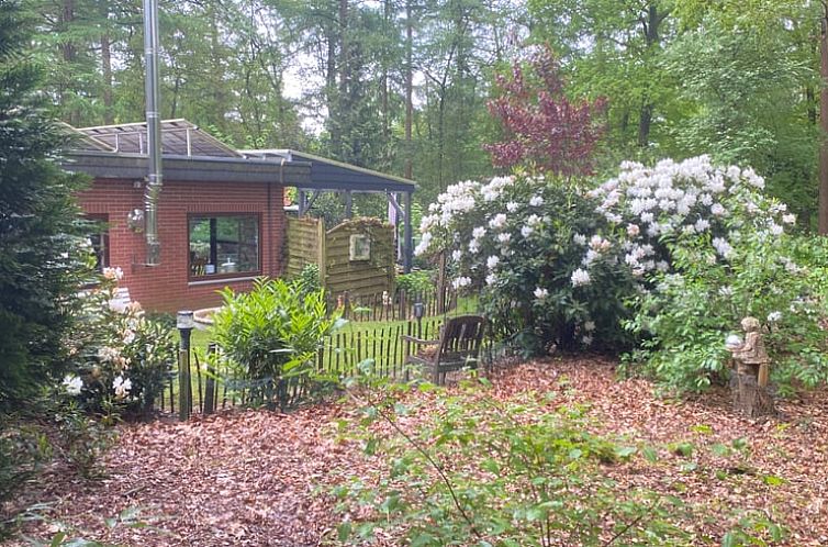 Vakantiehuisje in Uelsen