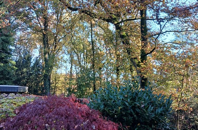 Vakantiehuisje in Uelsen