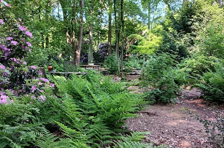 Vakantiehuisje in Uelsen