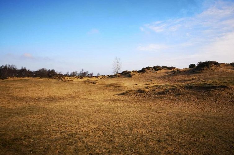 ALEXINE/ALEX0601