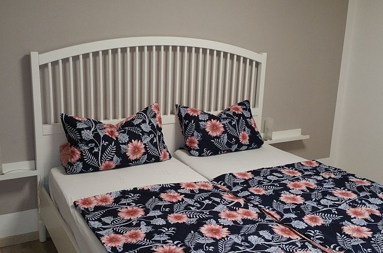 Appartement Apartment mit Hund