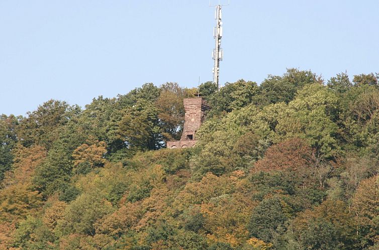 Appartement Apartment mit Hund