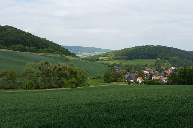 Appartement Apartment mit Hund